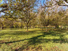 Achat Terrain Le Buisson-de-Cadouin