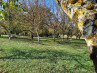 Achat Terrain Le Buisson-de-Cadouin