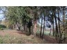 Achat Maison Brantôme