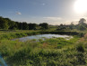 Buy Land Thiviers