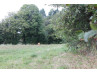 Achat Maison Saint-Jory-de-Chalais