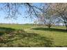 Buy House Chalais