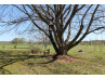 Buy House Chalais