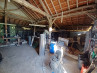 Buy House Tourtoirac
