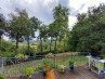 Buy House Le Buisson-de-Cadouin